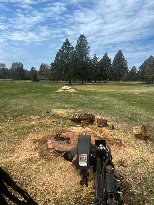 Stump Grinding