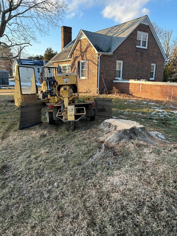 Stump Removal