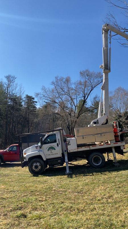 Tree Trimming