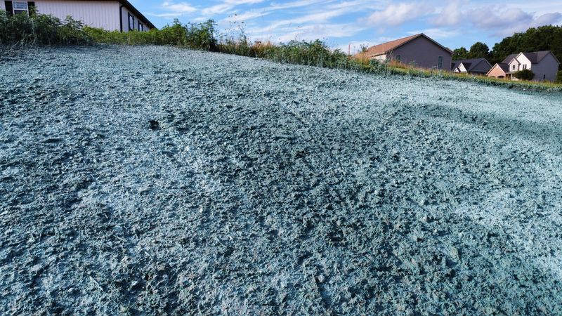 Hydroseeding 