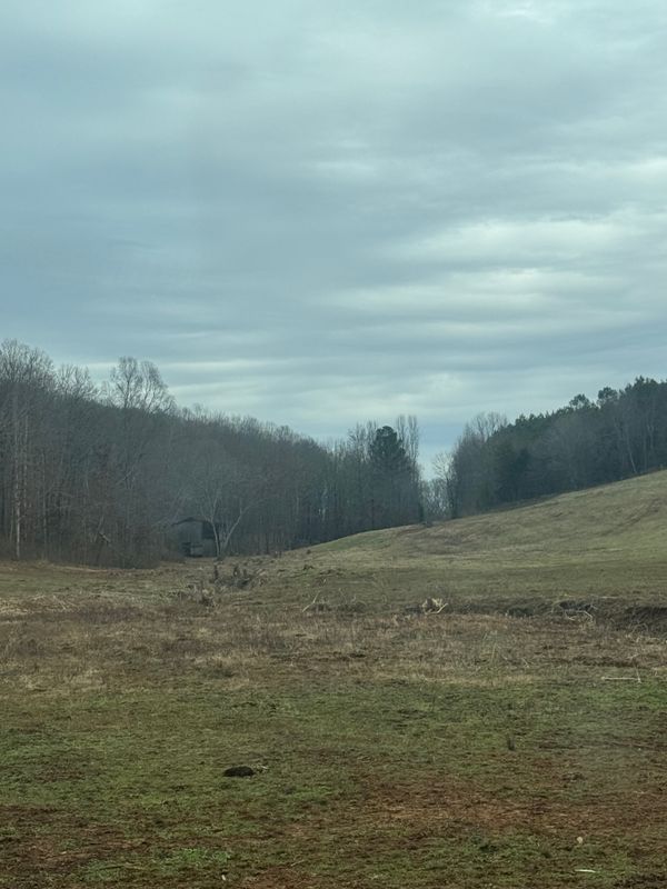 Land Clearing