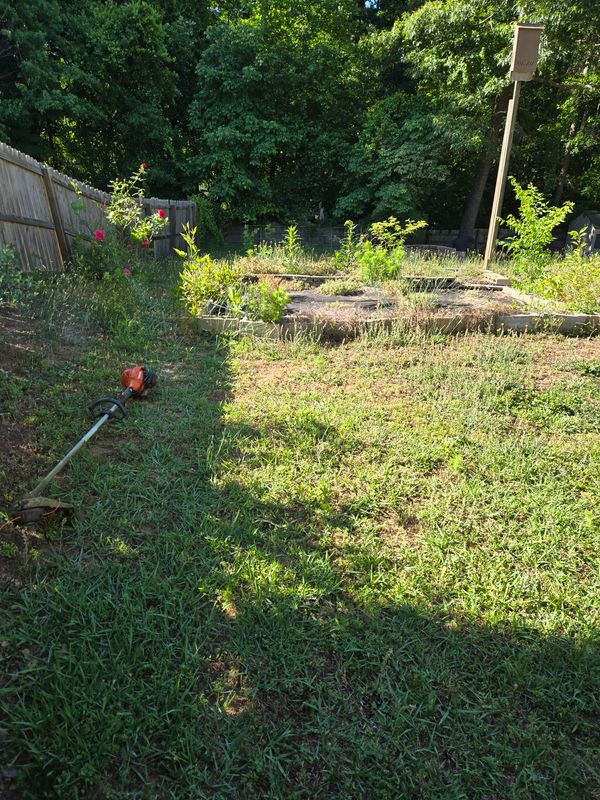 Shrub Trimming