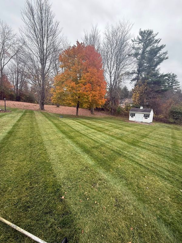fall/spring cleanups