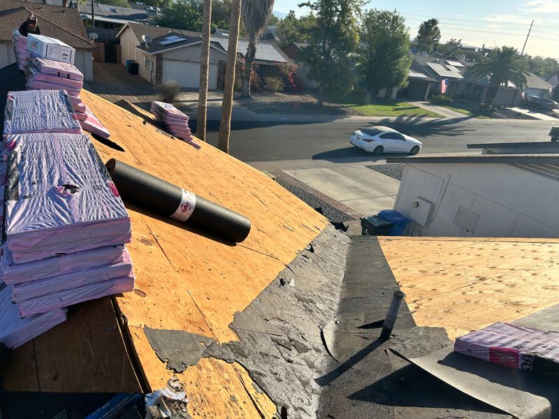 Shingle