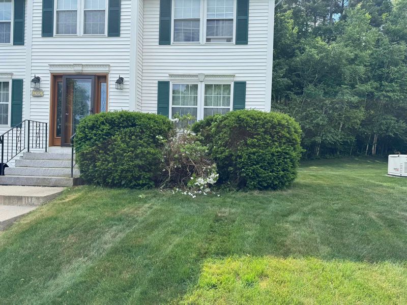 Landscaping