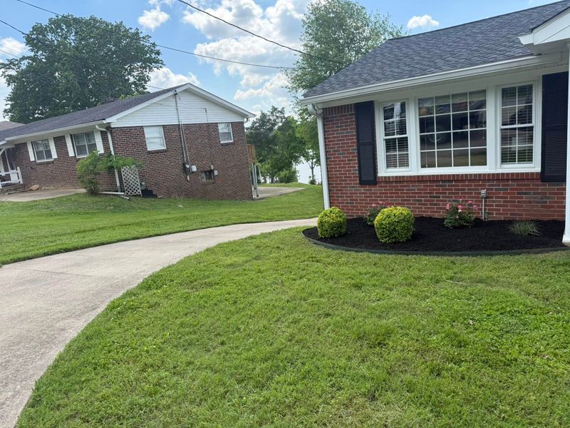 Tree & Shrub Care