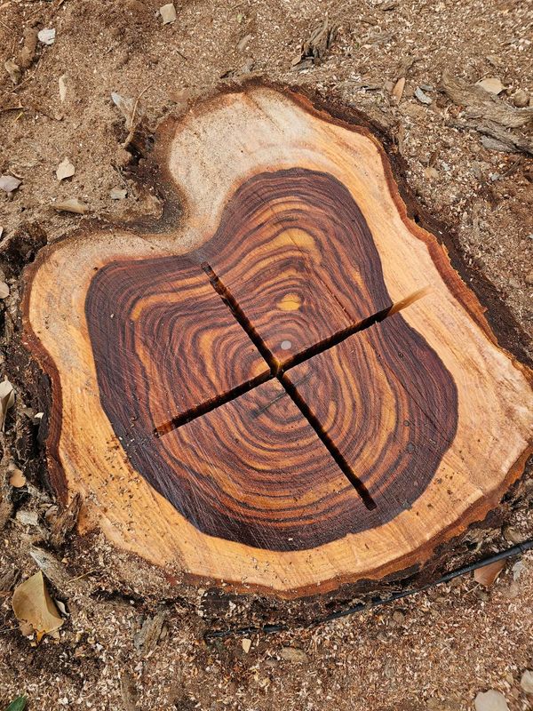 Stump Removal