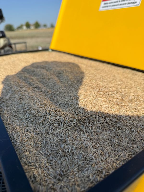 Lawn Aeration & Overseeding