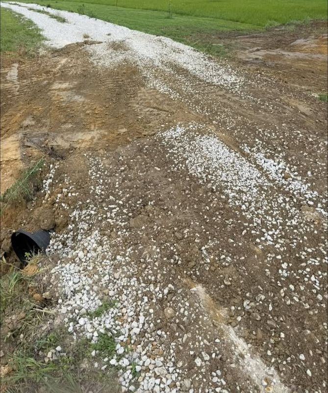 Ditches