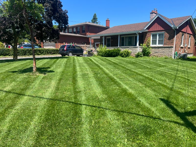 Lawn Care