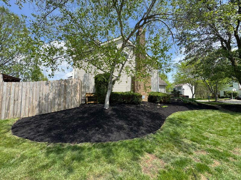 Mulch Installation