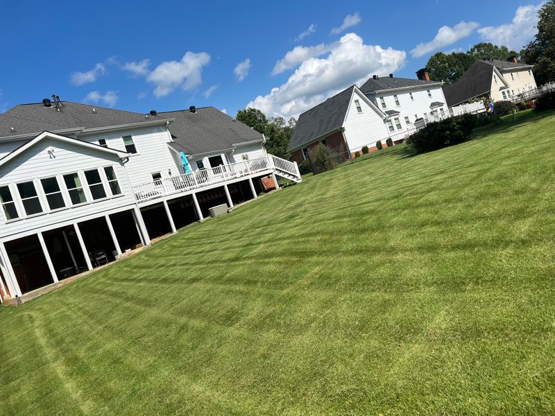 Lawn Maintenance gallery