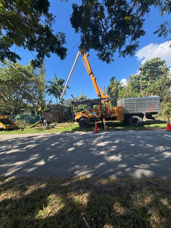 Residential Demolition