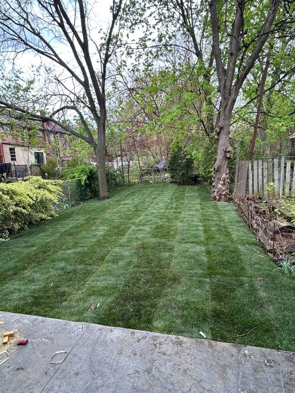Sod Installation