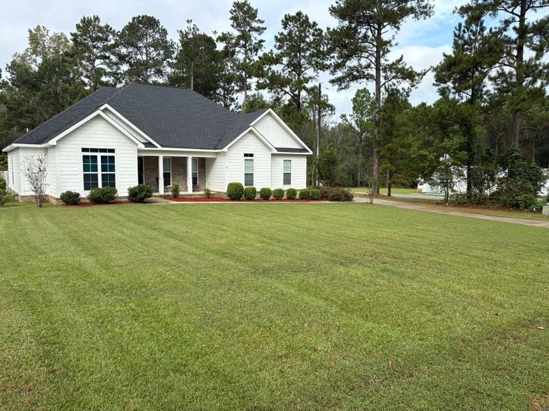 Tree & Shrub Care