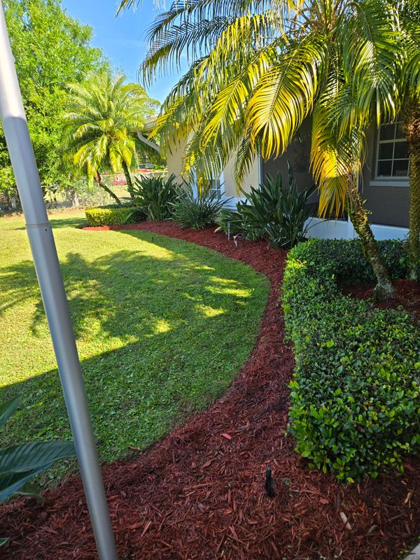 Lawn Care & Maintenance