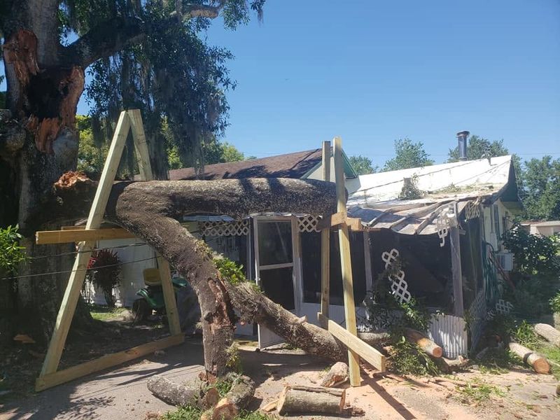 Emergency Tree Services
