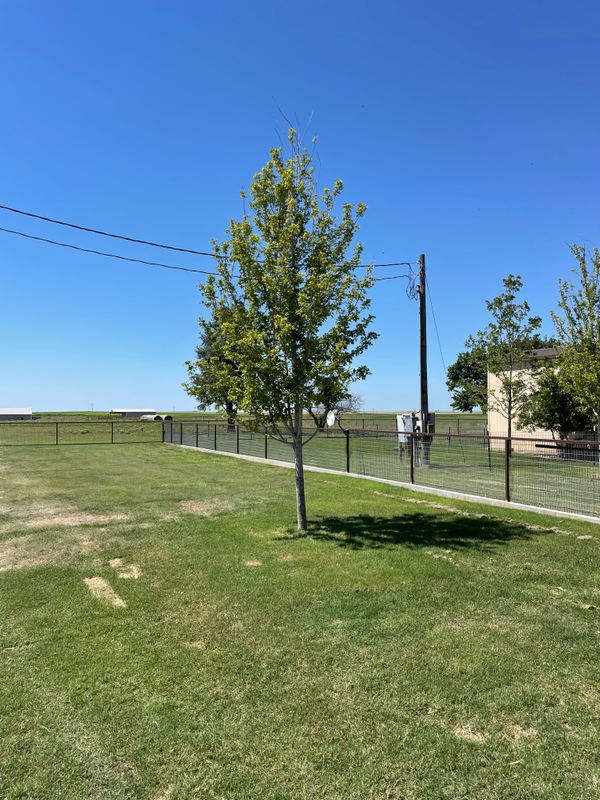 Sod Installations