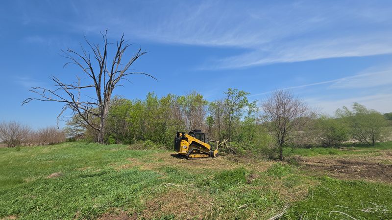 Forestry Mulching