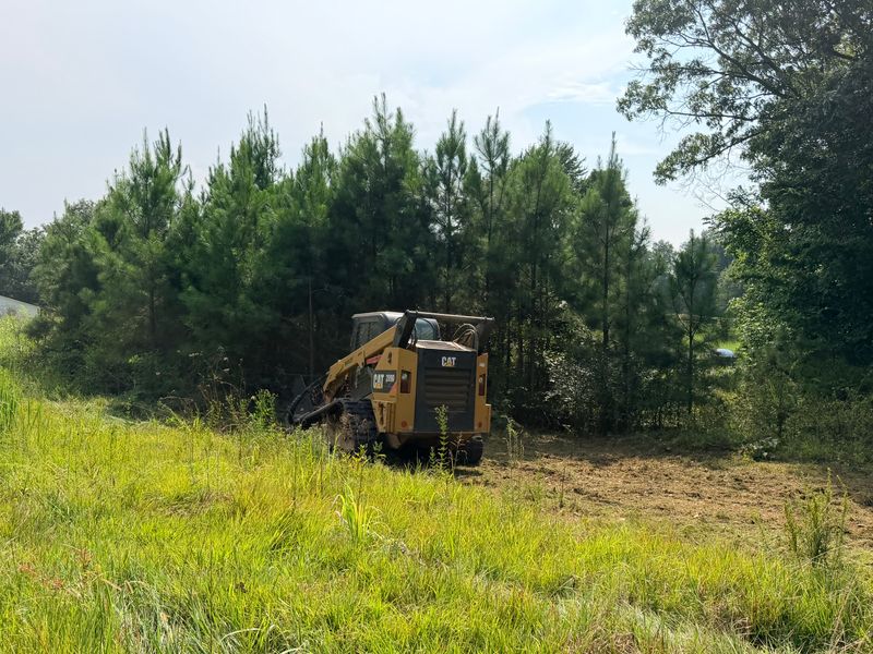 Forestry Mulching