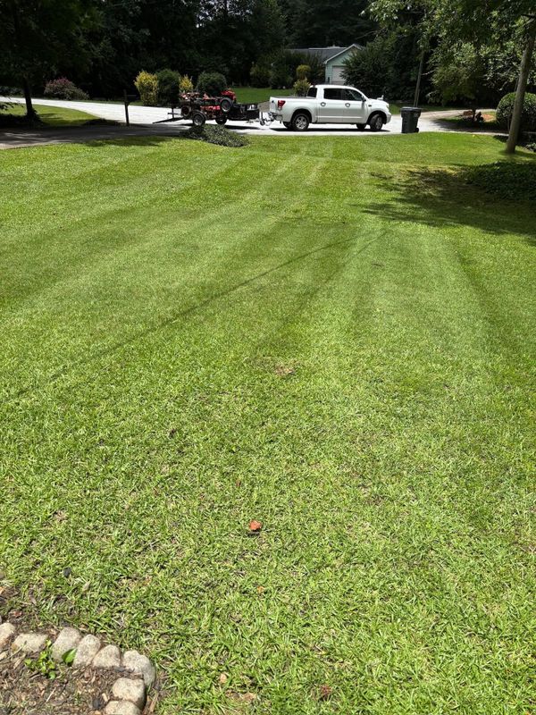 Lawn Maintenance