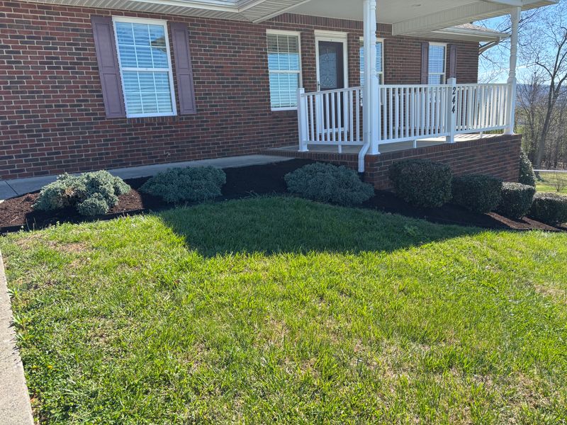 Landscape Design