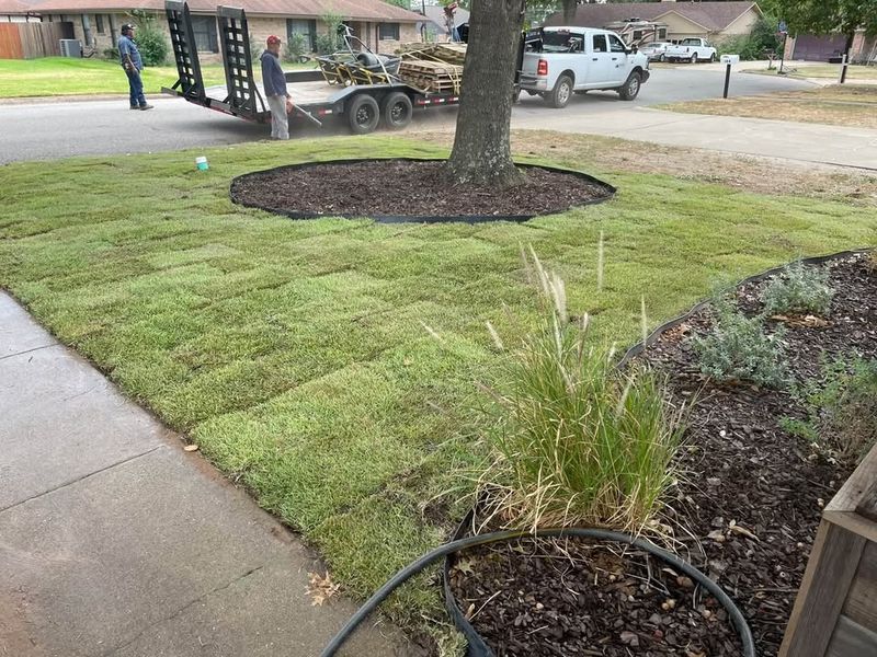 Sod Installation