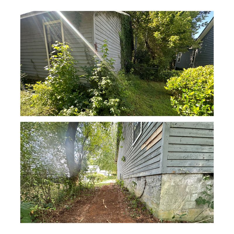 Forestry Mulching and Land Clearing
