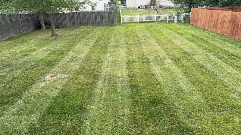 Lawn Care & Maintenance