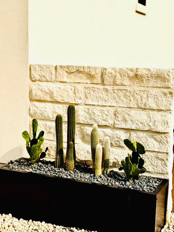 Landscape Design