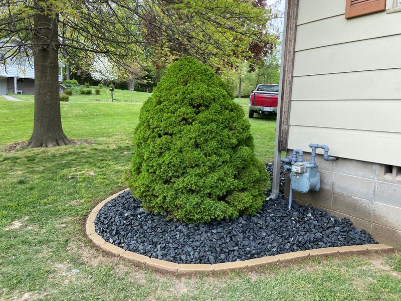 Garden Bed Installations