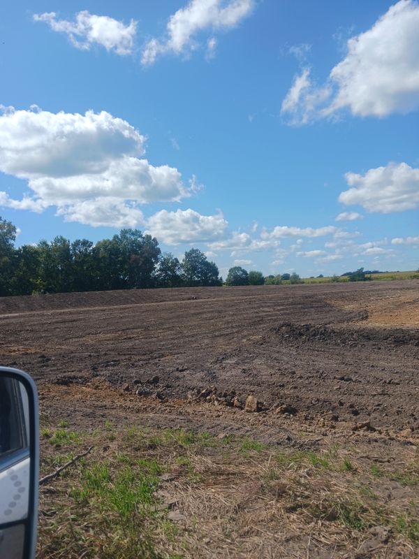 Land clearing