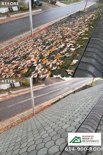Asphalt Shingle Rejuvenation