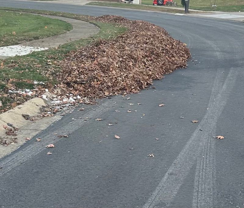 Fall Cleanups and Leaf Removal