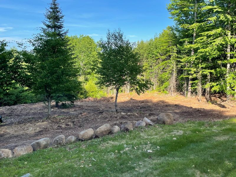 Brush Mowing And Forestry Mulching