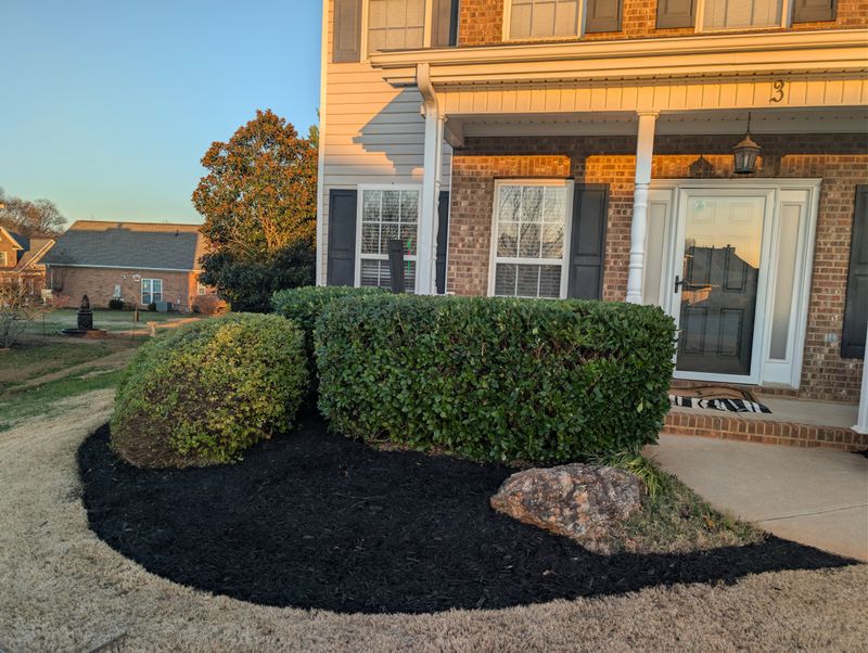 Mulch Installation