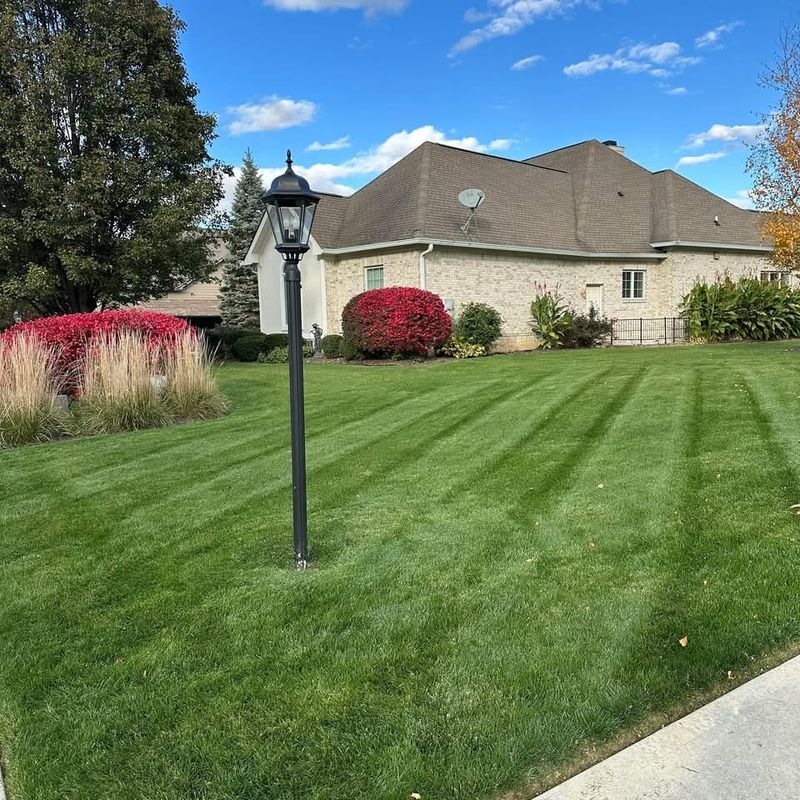 Landscape Design