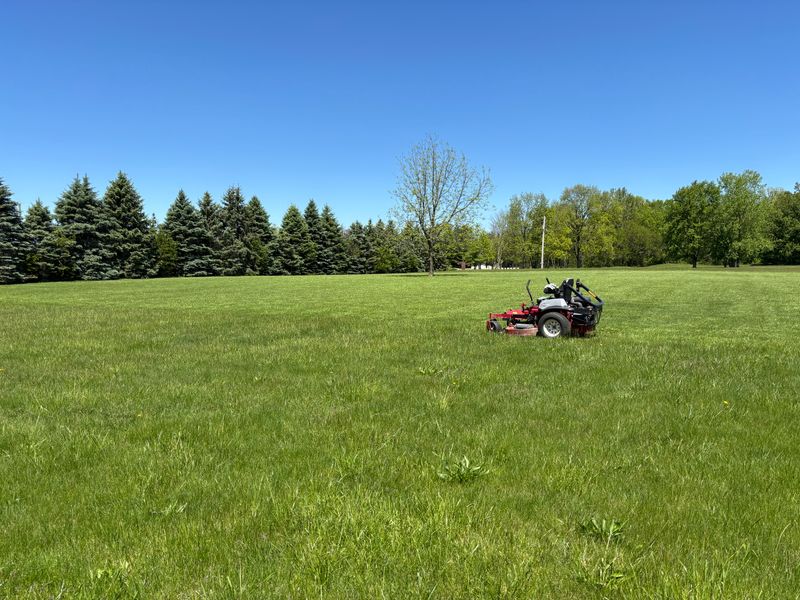 Landscaping