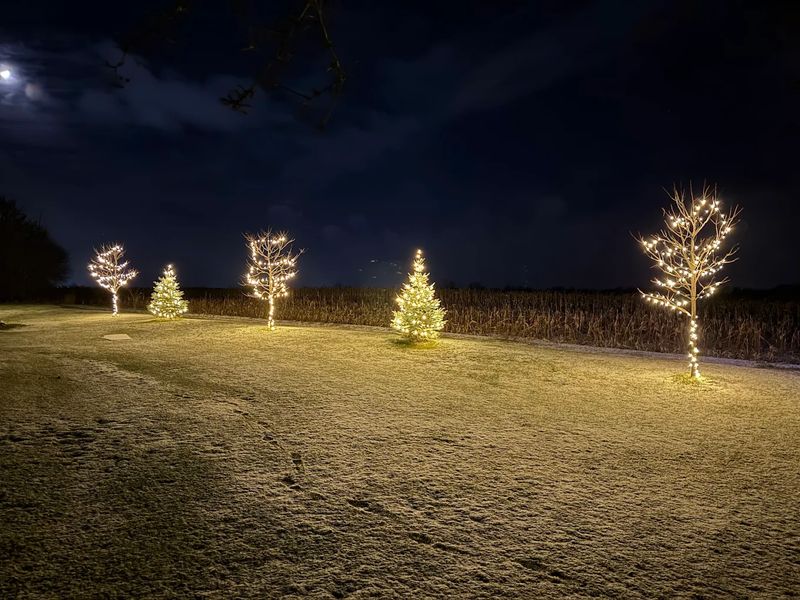 Holiday Lighting