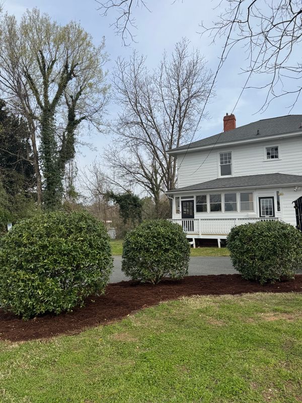 Mulch Installation