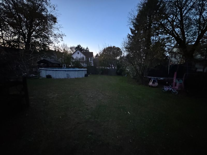 Fall Cleanup