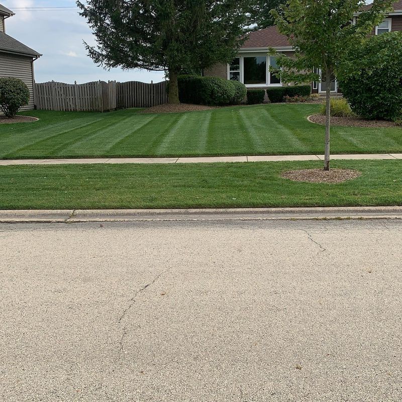Lawn Care