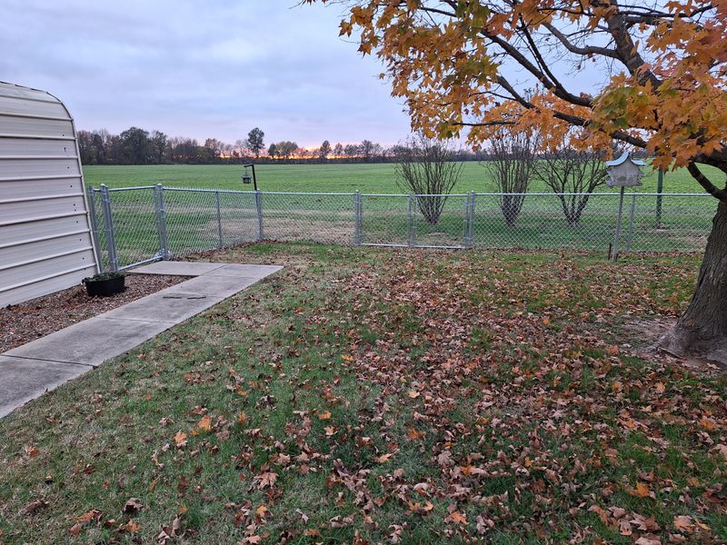 Henderson's Canine Haven: Cost-Effective Chainlink Solution by Apex Fence
