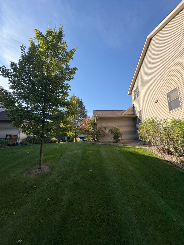 Tree and Shrub Care