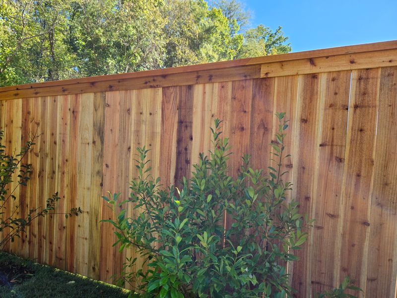 Fence Installation