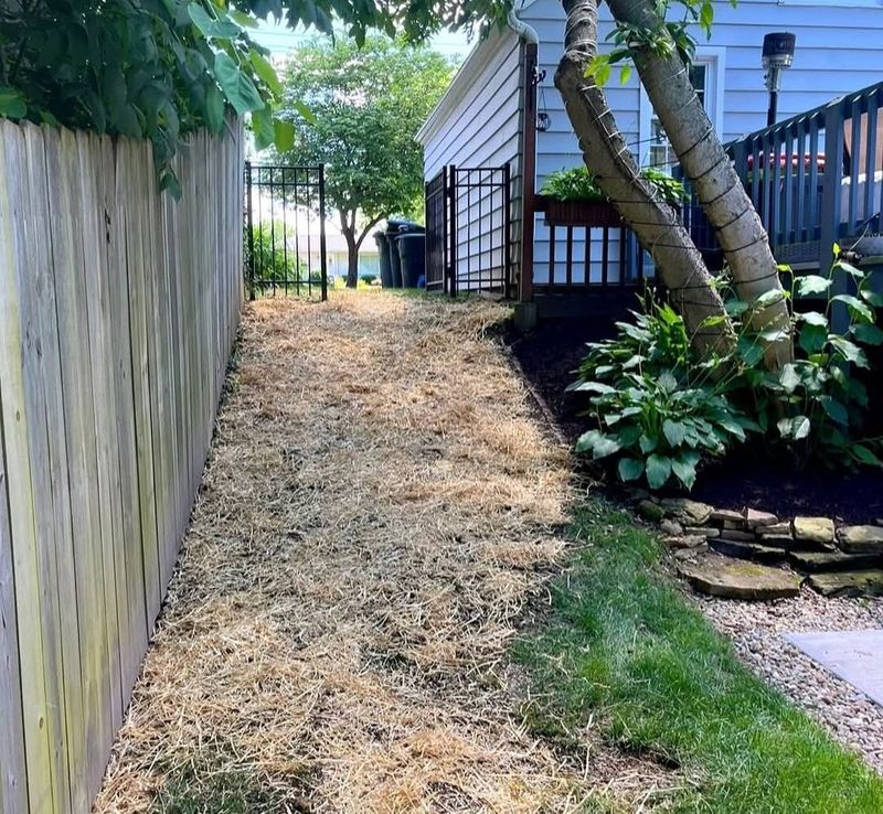 Lawn Care Services