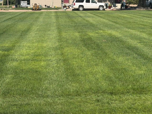 Hydroseeding