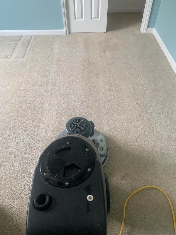 Carpet Cleaning