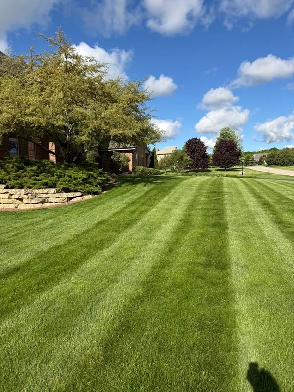 Lawn Maintenance