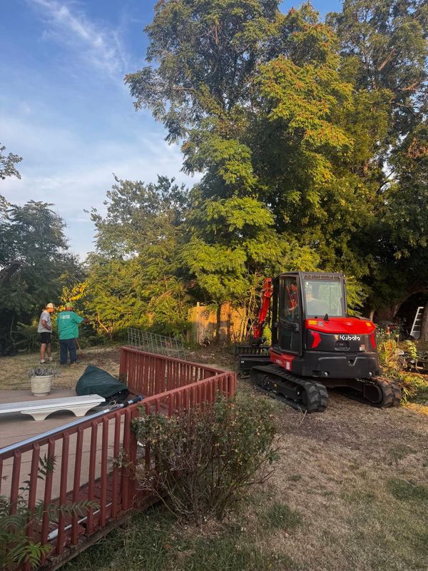 Land Clearing and Vegetation Removal